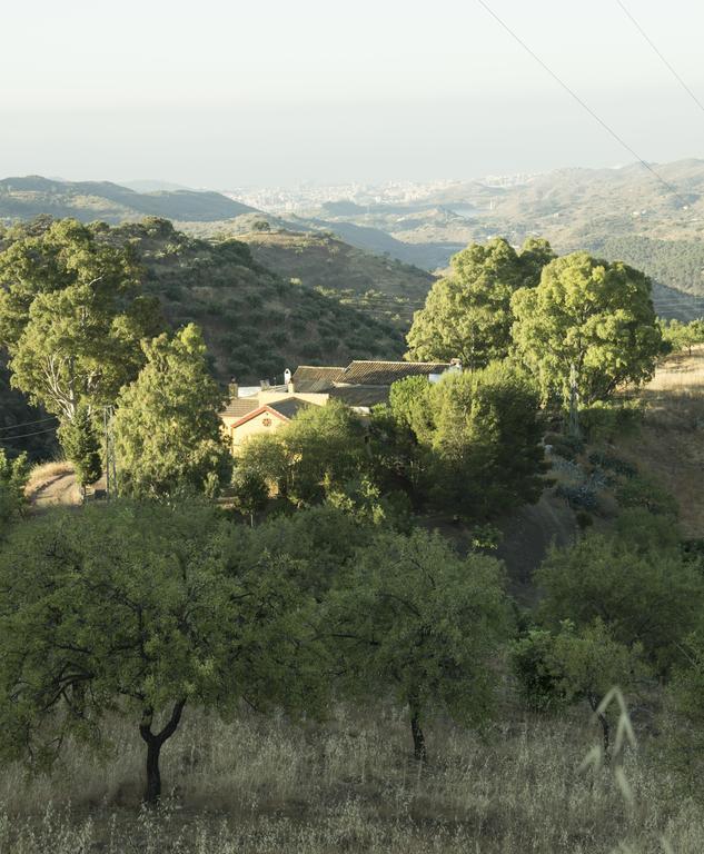 Rural Montes Malaga: Lagar Don Sancho Holiday home